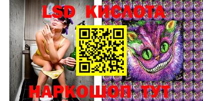 МДПВ Новокубанск