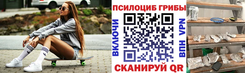 продажа наркотиков  Балтийск  Галлюциногенные грибы Psilocybine cubensis 