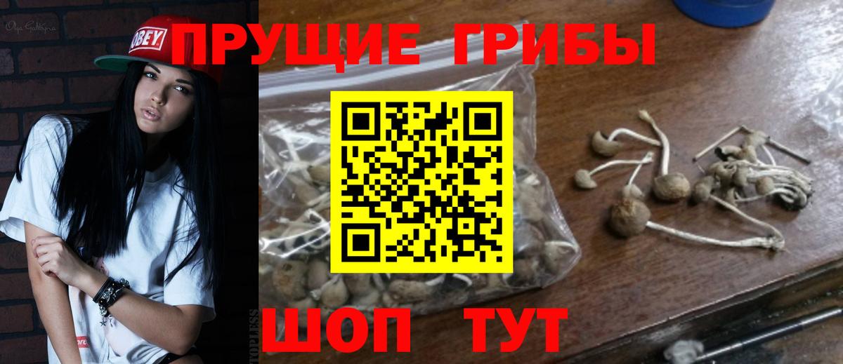 Галлюциногенные грибы GOLDEN TEACHER Балтийск
