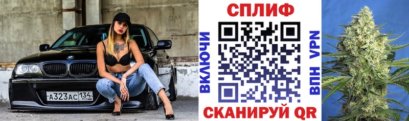 где найти наркотики  Балтийск  Конопля Ganja 